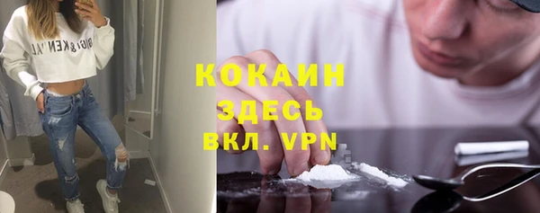 шишки Нязепетровск